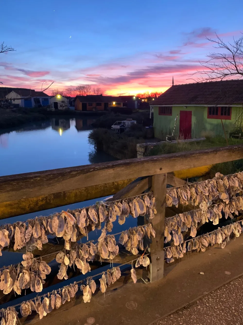 Camping du Petit Pont - image n°48 - UniversalBooking