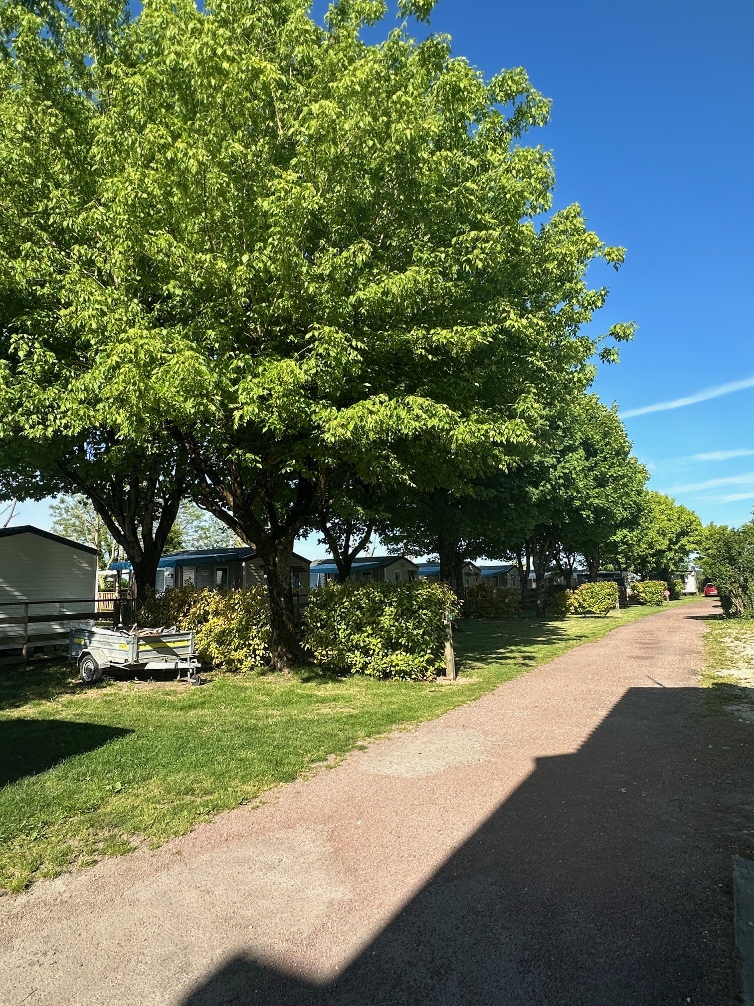 Camping du Petit Pont — Photo 7