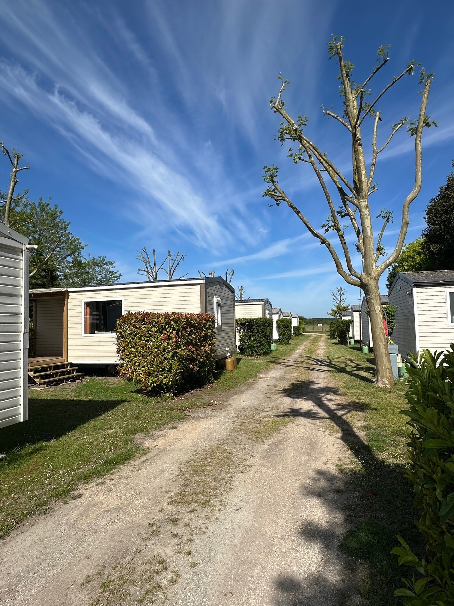 Camping du Petit Pont — Photo 10