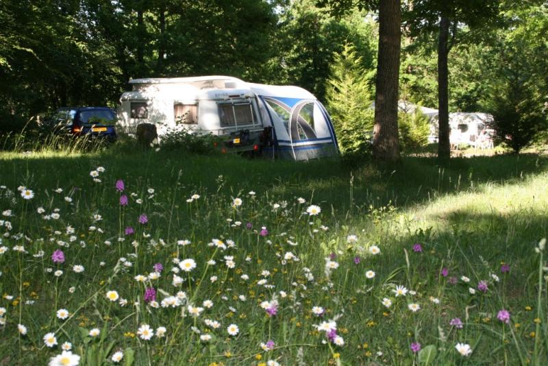 Establishment Camping Sites Et Paysages Au Bois Joli - Andryes