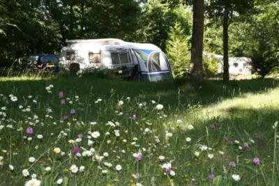 Camping Ushuaïa Villages - Au Bois Joli - Bourgondië-Franche-Comté
