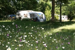 Establishment Camping Sites et Paysages Au Bois Joli - Andryes