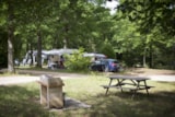 Foto #3 van Camping Ushuaïa Villages – Au Bois Joli