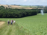 Foto #9 van Domaine Devèze
