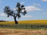 Foto #15 van Domaine Devèze