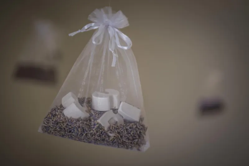 Bungalow Une Pièce Superior