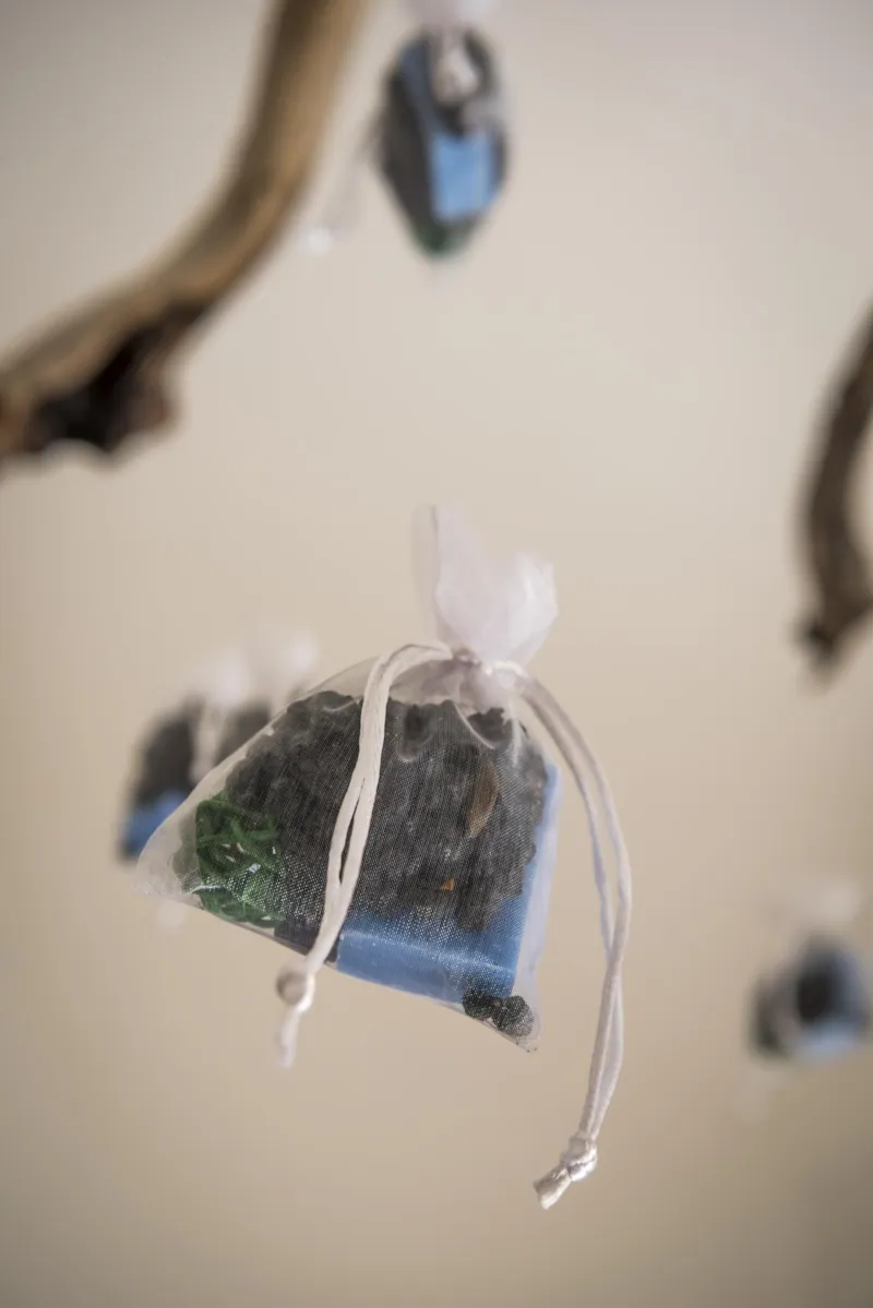 Bungalow Une Pièce Superior