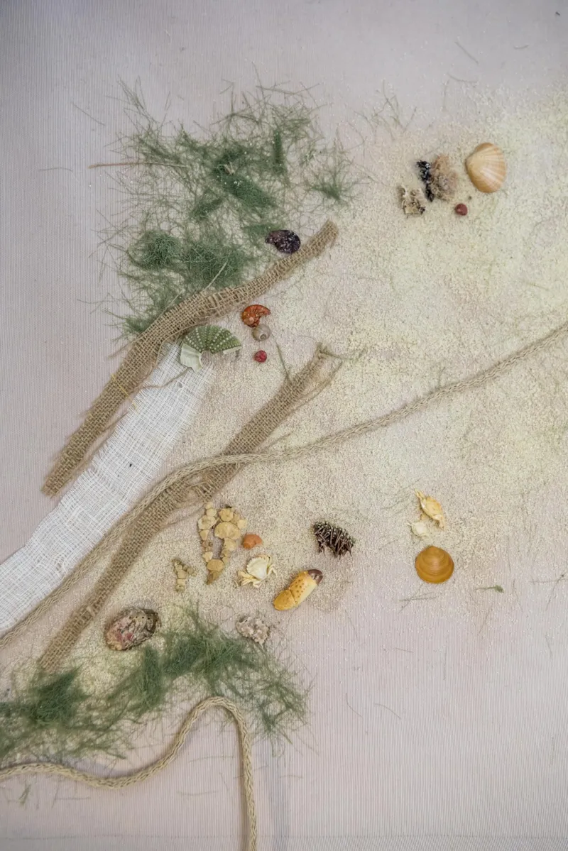 Bungalow Une Pièce Superior