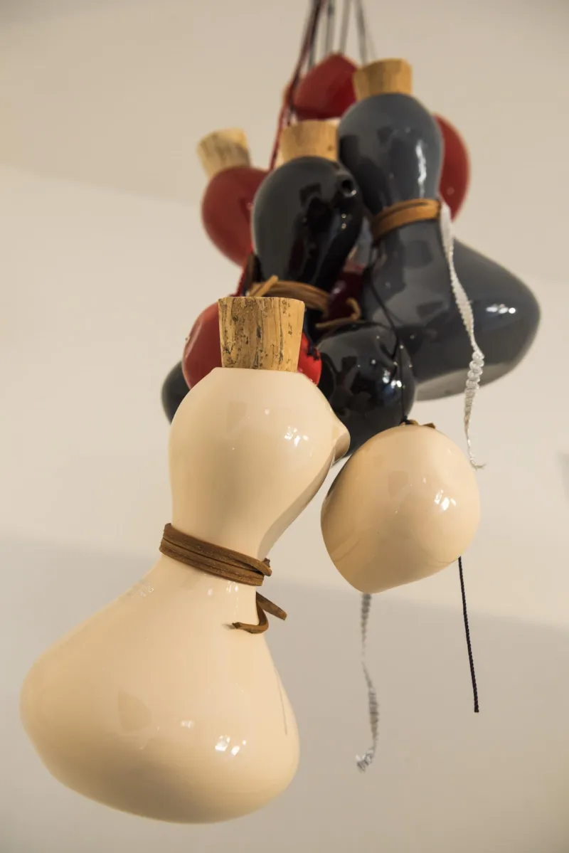 Bungalow Une Pièce Superior