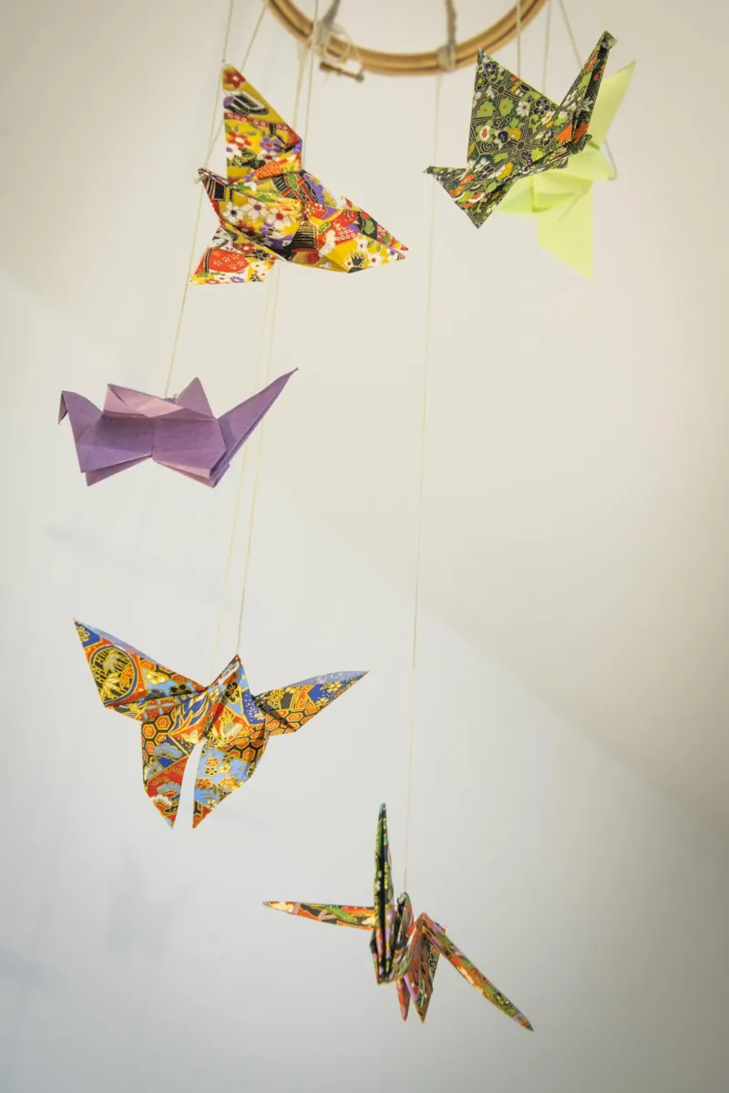 Bungalow 2 Pièces Superior