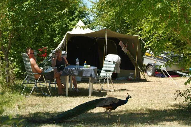 Emplacement Classique - 100M² À 130M²- Électricité 10A