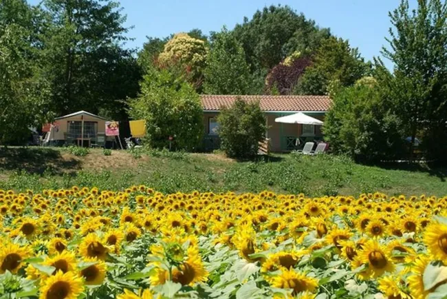 Le Camp de Florence - image n°4 - Camping Direct