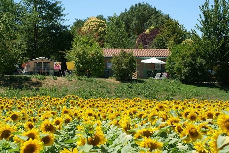 Le Camp de Florence — Photo 4