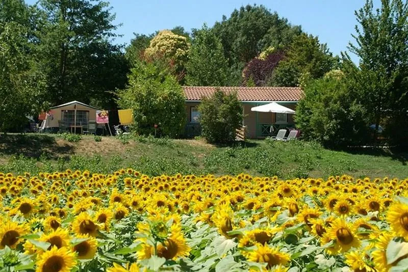 Le Camp de Florence - image n°3 - Camping Direct