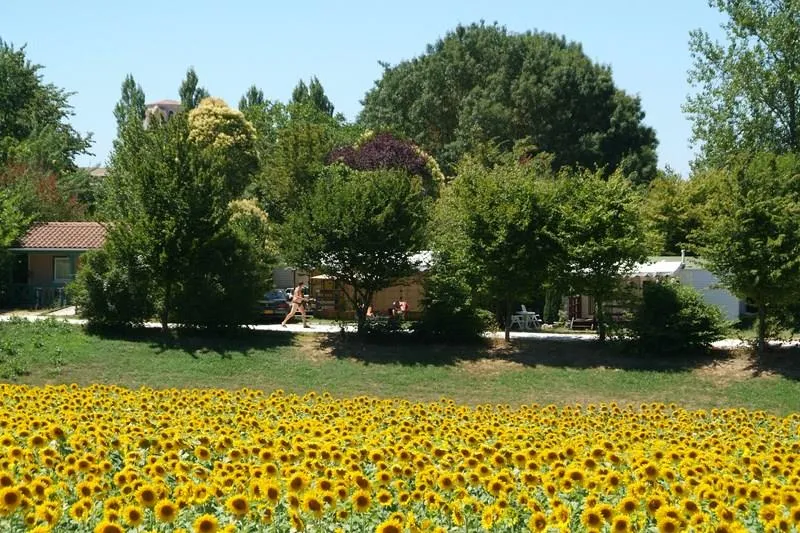 Emplacement Loisir Équipé -150M²- Frigo - Bbq -Meubles De Jardin- Électricité 10A - Eau - Evacuation