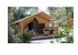 Lodge Glamping Safari Lodge Glamping Safari