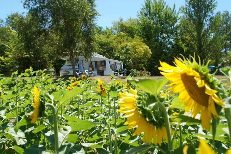 Emplacement Grand Confort - 120M² À 150M² - Electricité 10A - Eau - Evacuation Wc Eaux Grises