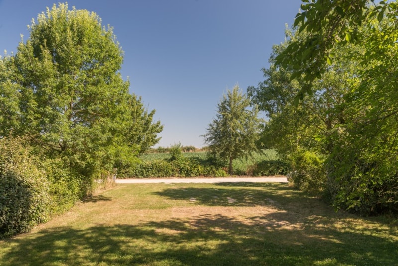 Emplacement Vista NOUVEAU ! - 180m² - Electricité 10 A - Eau - Evacuation