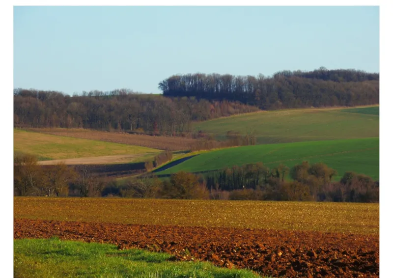 Mobile Home Deluxe Riviera Vue Imprenable Sur Les Collines Nouveau - 2 Chambres / 1 Sdb + Clim