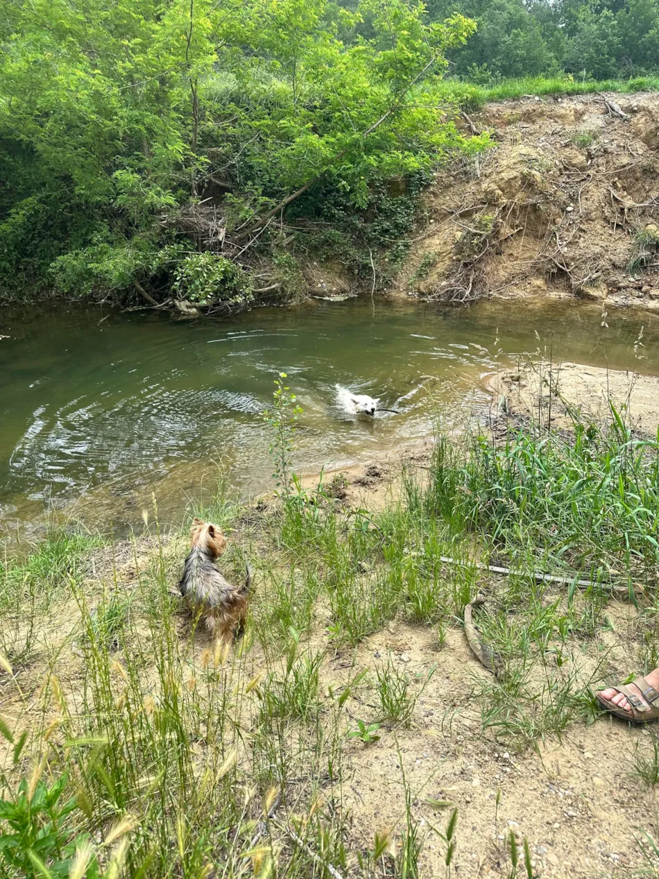 Camping Les Eychecadous
