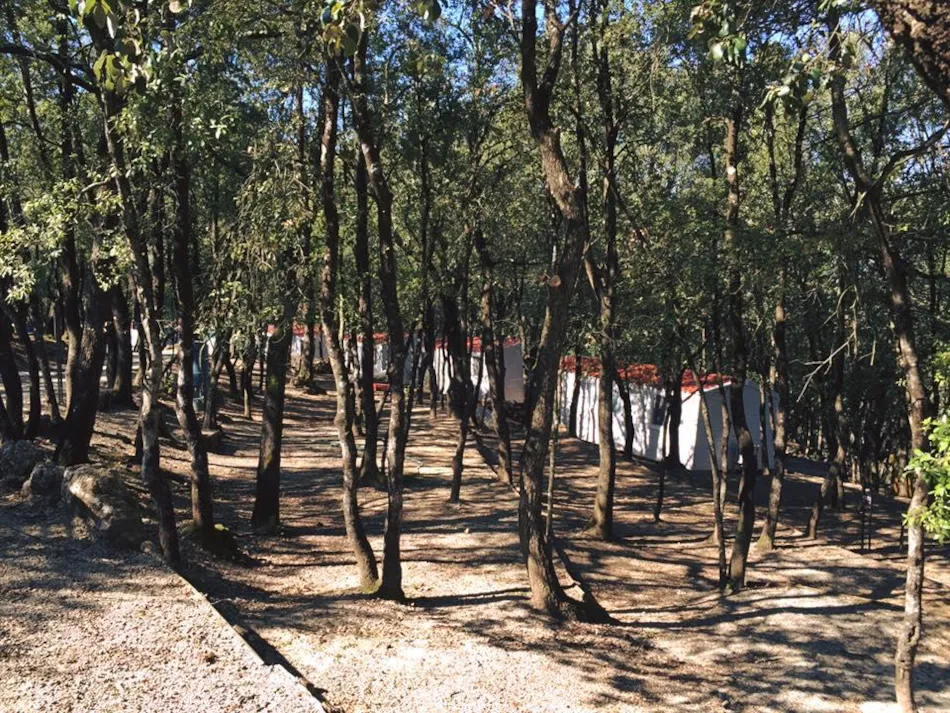 Camping Boschetto di Piemma