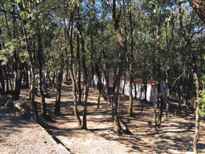 Camping Boschetto di Piemma