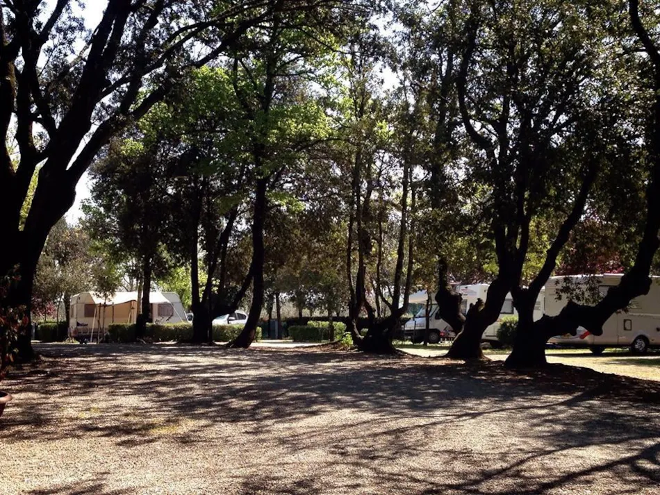 Camping Boschetto di Piemma