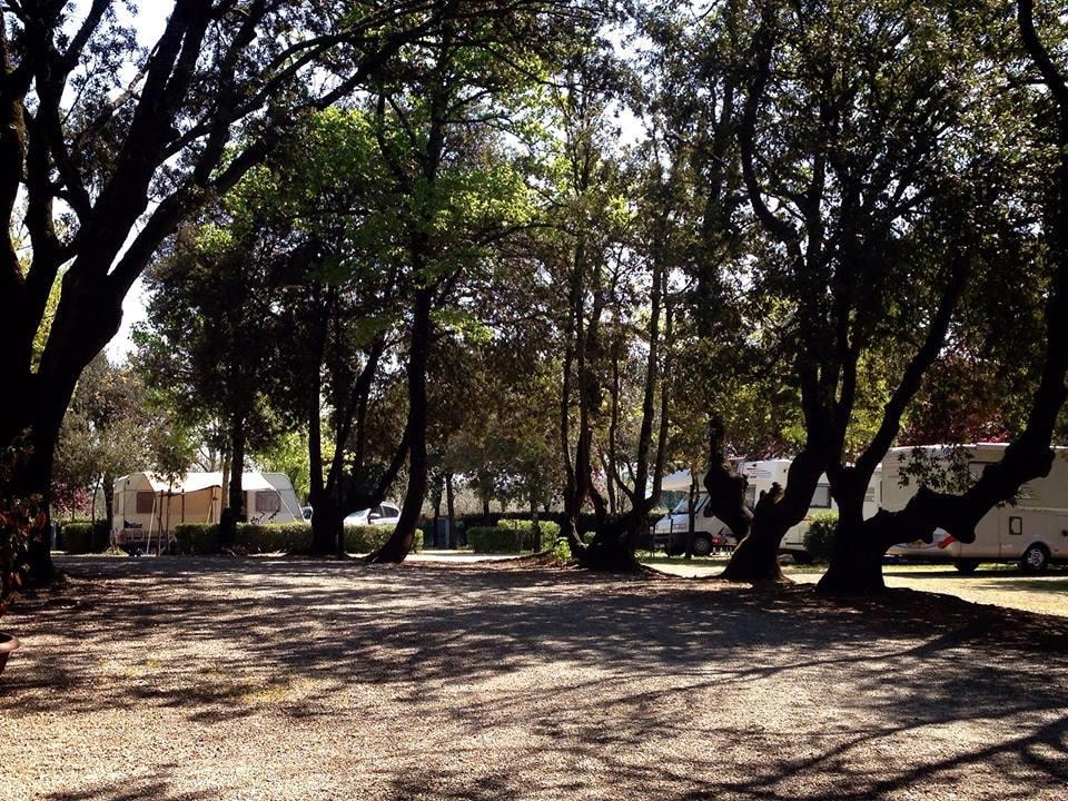 Camping Boschetto di Piemma — Photo 8