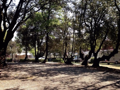 Camping Boschetto di Piemma