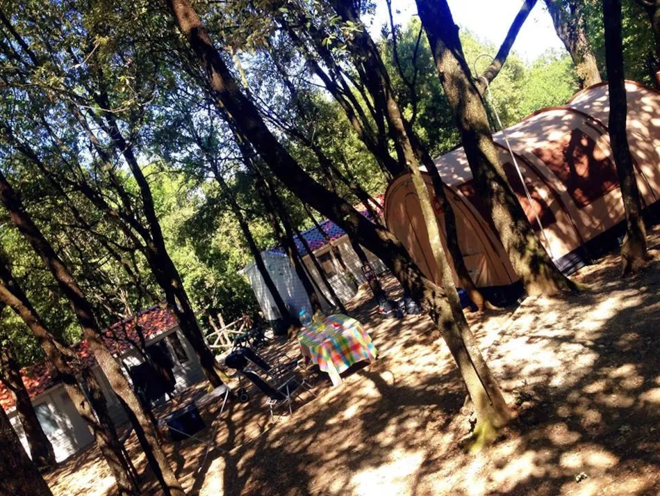 Camping Boschetto di Piemma