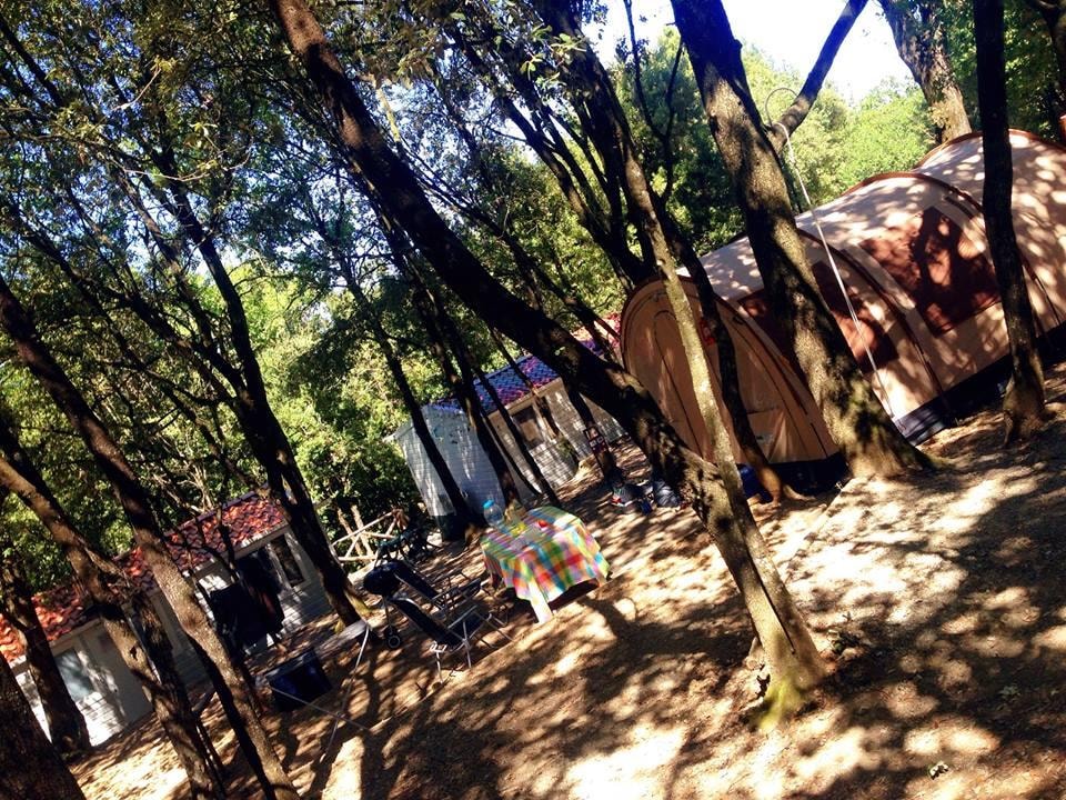 Camping Boschetto di Piemma — Photo 9