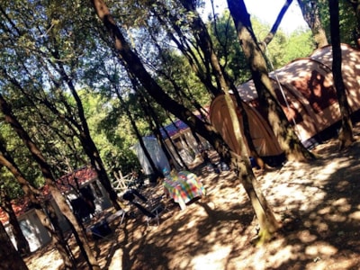 Camping Boschetto di Piemma