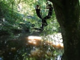 Foto #22 van Camping du Moulin de Piot