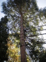 Foto #28 van Camping du Moulin de Piot