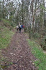 Foto #30 van Camping du Moulin de Piot