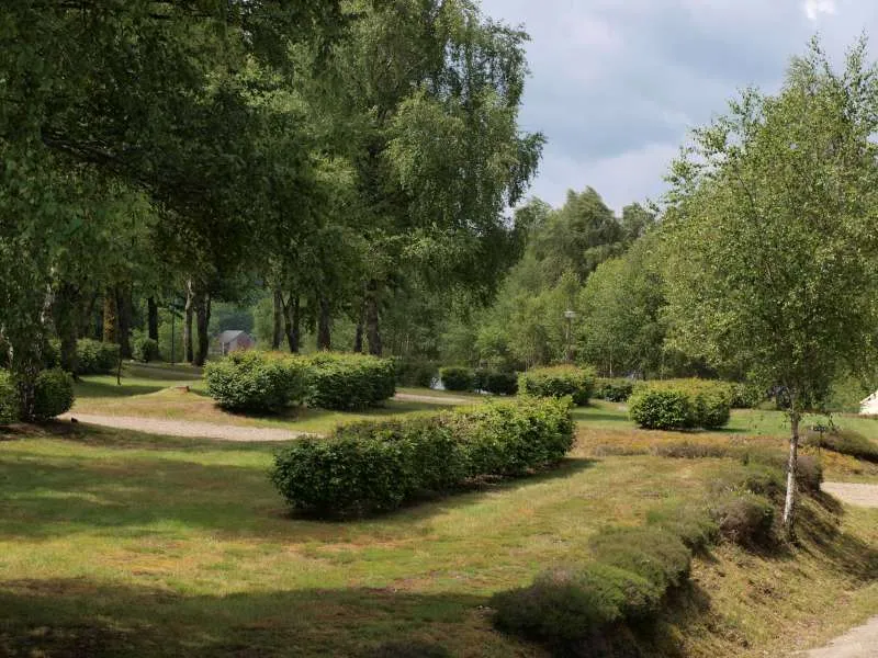 Emplacement Nu Avec Électricité