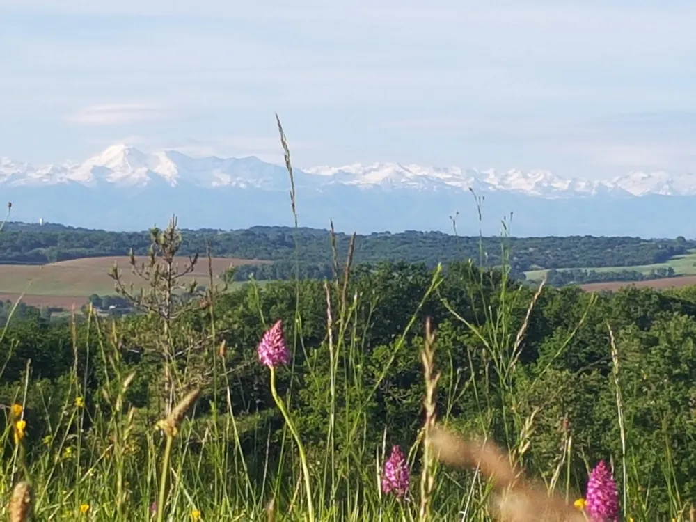 Camping du Lac