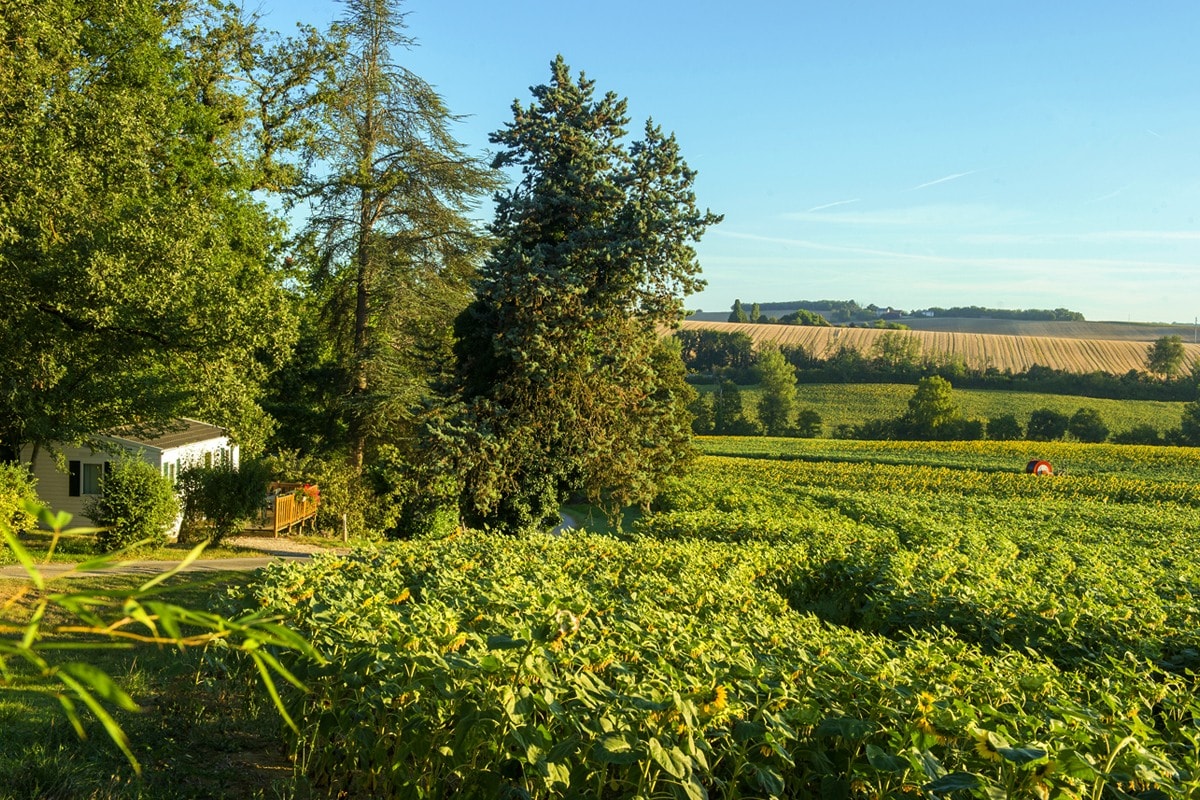 Domaine Aramis — Photo 2