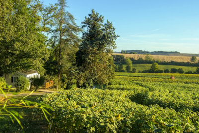 Domaine Aramis