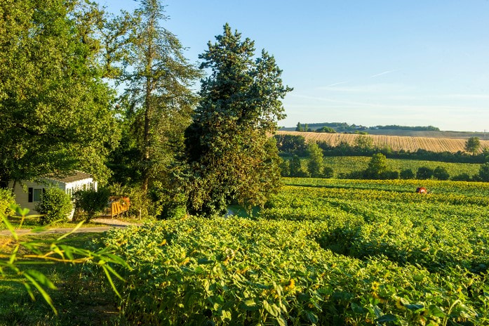 Domaine Aramis — Photo 4
