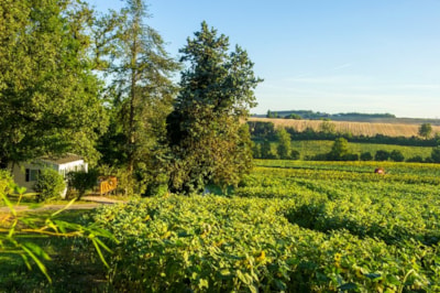 Domaine Aramis