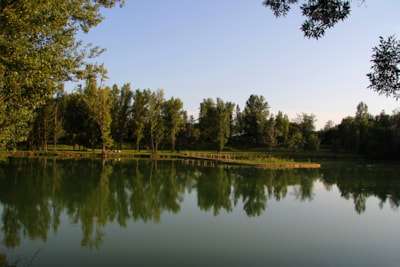 Domaine Aramis