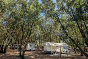 Pitch - Nice Pitch - Camping Village Parco della Gallinara