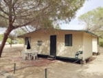 Casa Mobile Pineta Casa Mobile Pineta