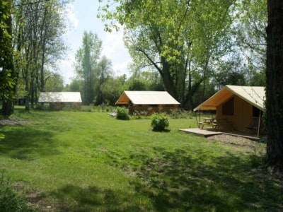Tent Safari (without toilet blocks) — 3