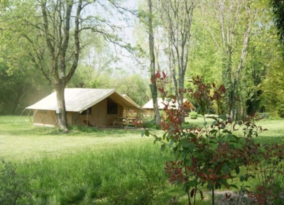 Tent Safari (without toilet blocks) — 2