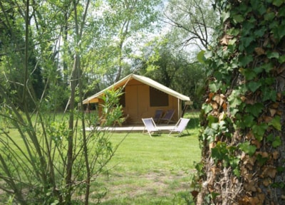 Tent Safari (without toilet blocks) — 1