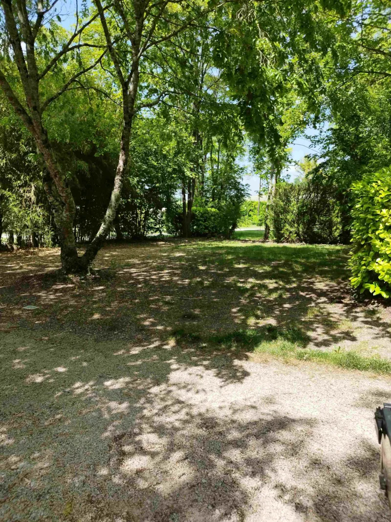 Emplacement Confort Avec Éléc / Tente, Caravane Ou Camping Car - 100 À 200M² Electricite Incluse