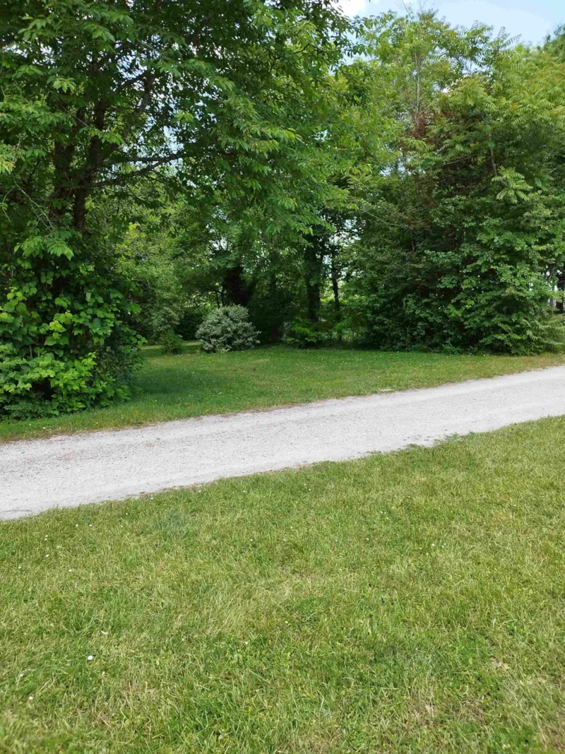 Emplacement Confort Avec Éléc / Tente, Caravane Ou Camping Car - 100 À 200M² Electricite Incluse