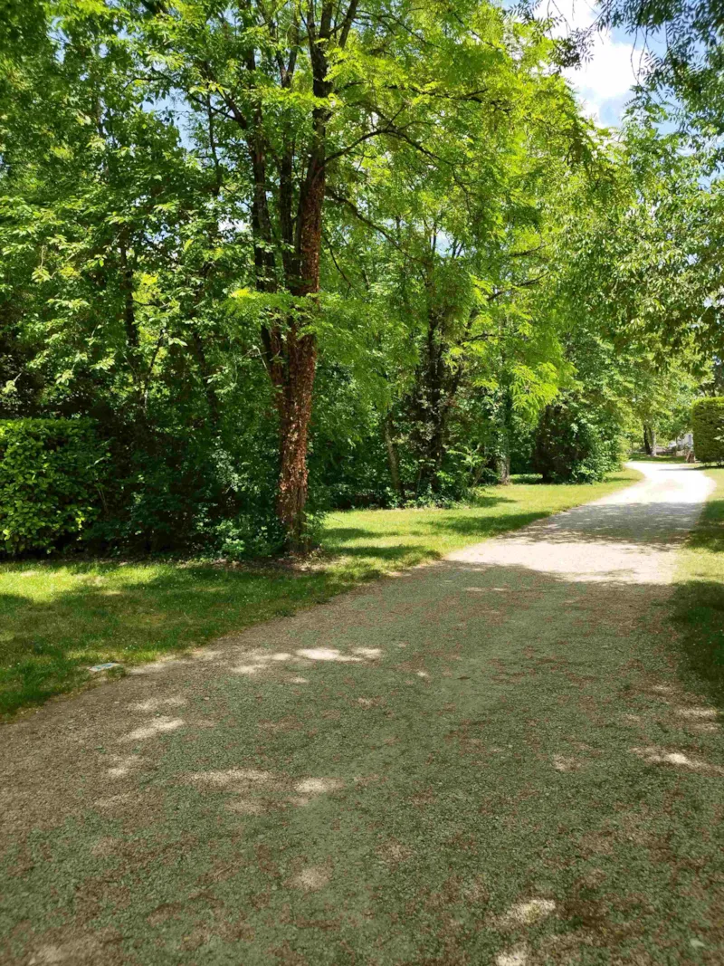 Emplacement Confort Avec Éléc / Tente, Caravane Ou Camping Car - 100 À 200M² Electricite Incluse